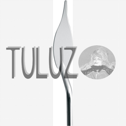 NAGE003 szpachla do faktur  RGM TULUZ.PNG