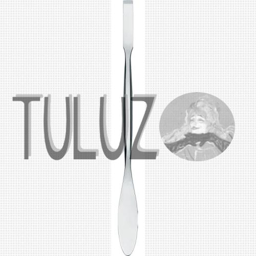 713 Dłutko restauracyjno-konserwatorskie RGM TULUZ SN.PNG