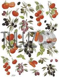 059-bis Decomania Classica  30 X 42