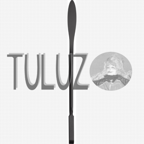 B713 SC Dłutko  restauracyjno-konserwatorskie RGM TULUZ.PNG