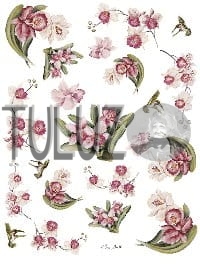 031-bis Decomania Classica  30 X 42