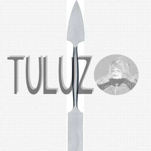 401 szpachle RGM tuluz.PNG