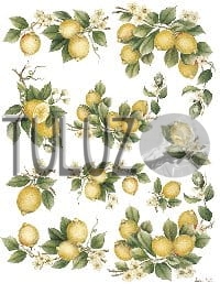 021-bis Decomania Classica  30 X 42