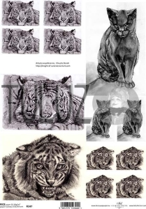 ITD Collection papier ryżowy A4 koty i tygrysy kod.prod.R0147