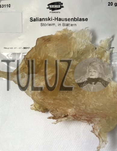 Karuk Salińskiego 25.jpg