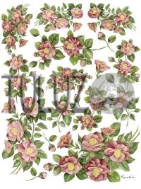 068-bis Decomania Classica  30 X 42