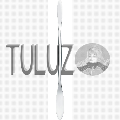 718 Dłutko restauracyjno-konserwatorskie RGM TULUZ SN.PNG