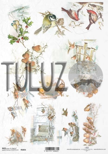 R1021 small M.jpg